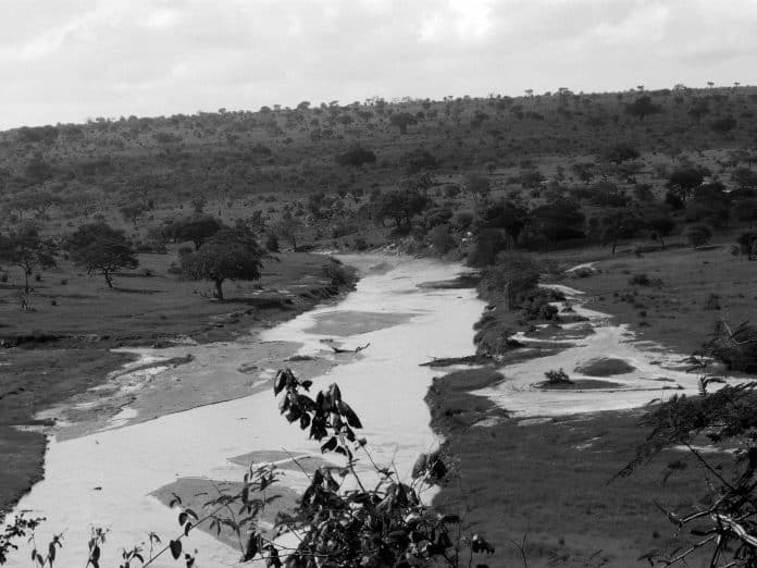 Quick Overview of the Tarangire River in Tanzania