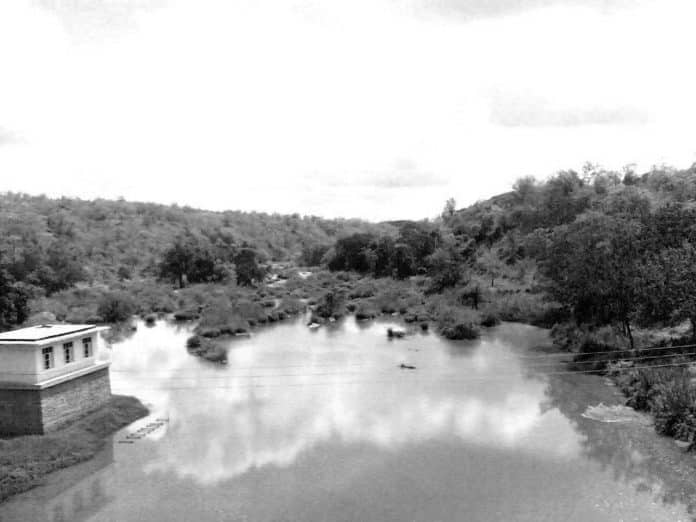 Quick Overview of the Wami River in Tanzania