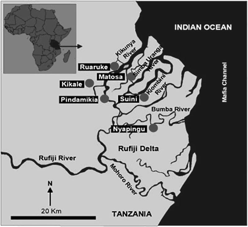 Rufiji river map