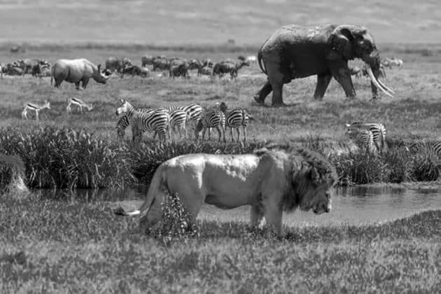 Serengeti National Park Images 2