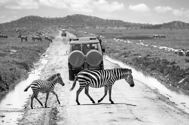 Serengeti National Park Images 3