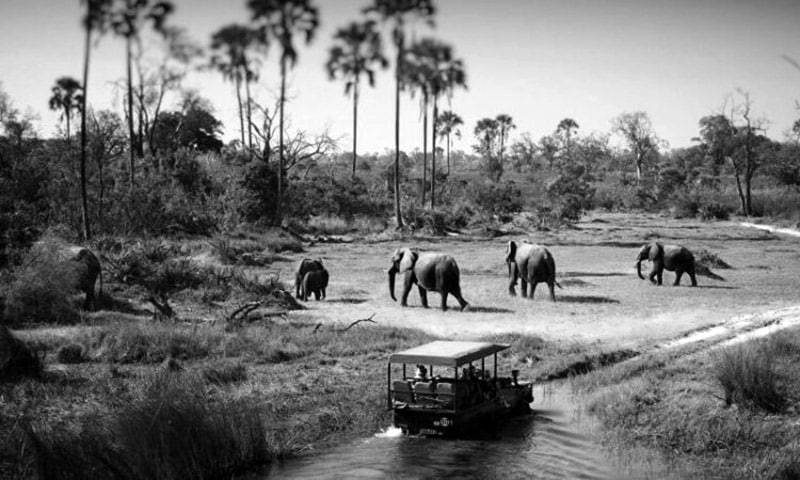 Tourists and game rangers driving in Tarangire National Park