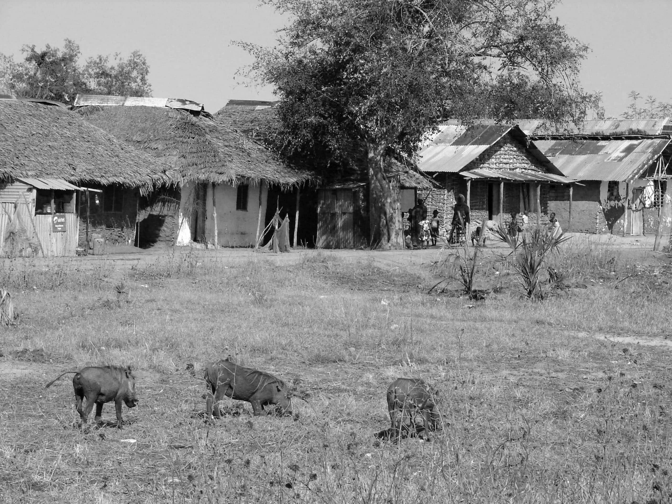 Uvinje village near Saadani National Park