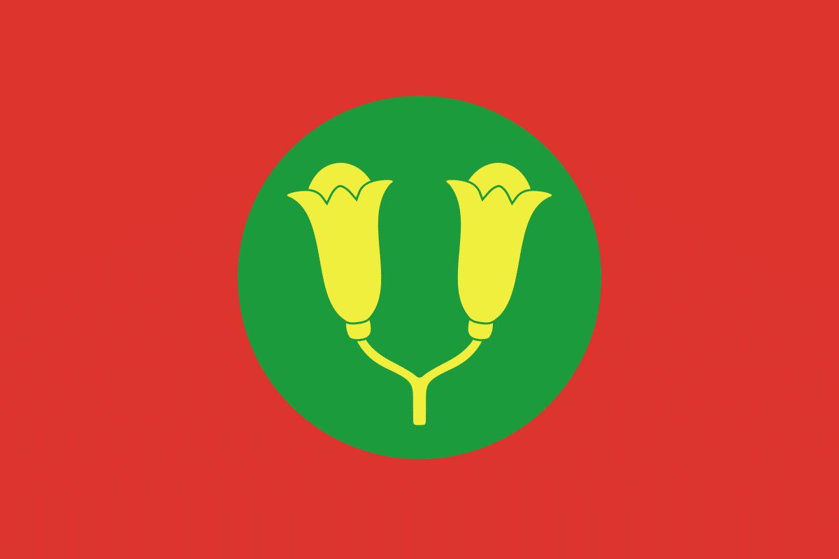 Sultanate of Zanzibar Flag