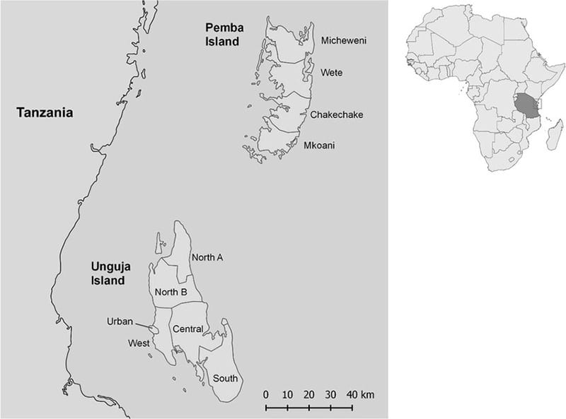 Unguja and Pemba Island Map