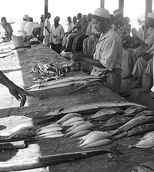 Fish market in Mkokotoni - Tumbatu island