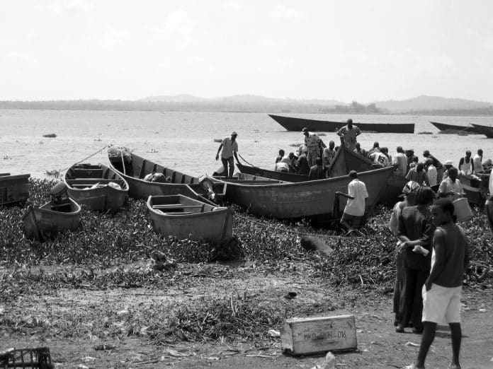 Fishing on Lake Victoria – History, Economic Impact and More