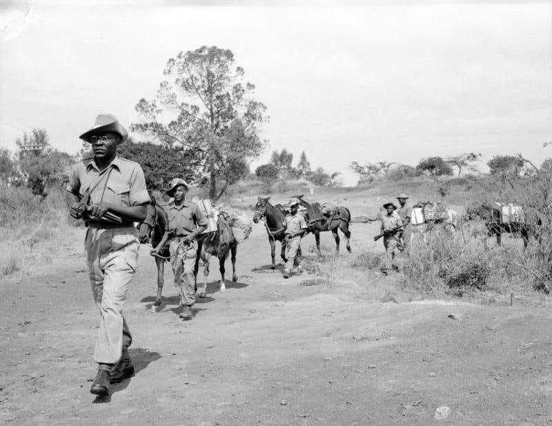 King's African Rifles' troops carrying supplies using horses during the Mau Mau Uprising