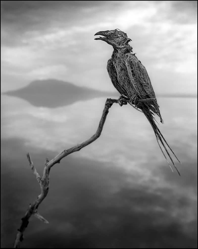 Lake Natron statues