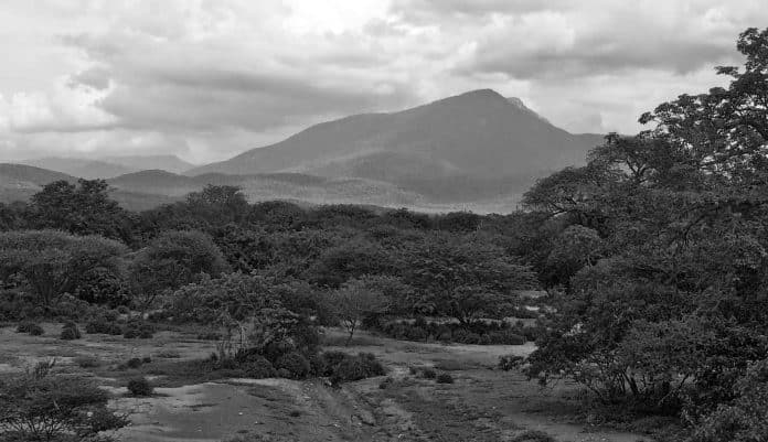 Tanzania Southern Highlands – Ecology, Climate and More