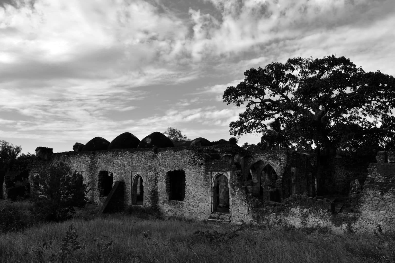 Kilwa Kisiwani - Economy, Buildings, History ...