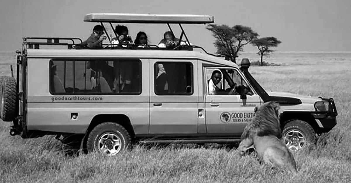 A Landcruiser from Good Earth Tours exploring wildlife with tourists in one of the Safaris