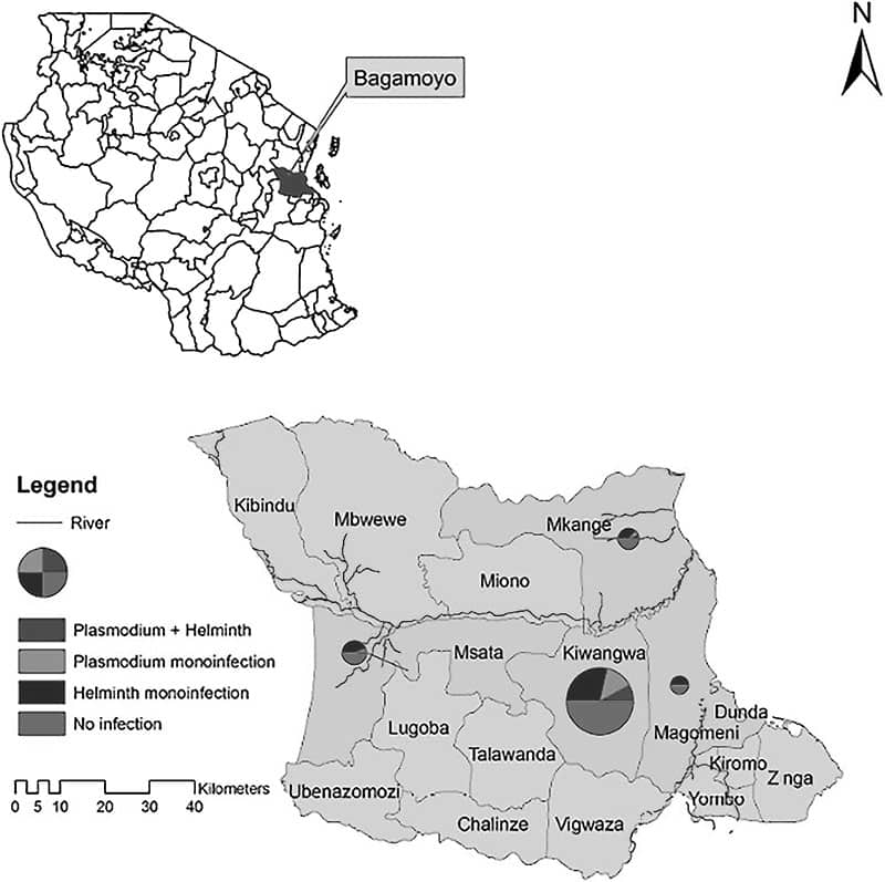 Bagamoyo map