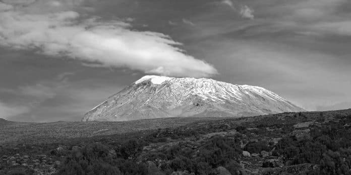 Kilimanjaro National Park - Overview of History, Flora, and Fauna