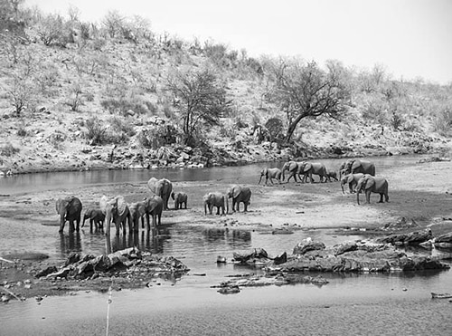 Ruaha National Park