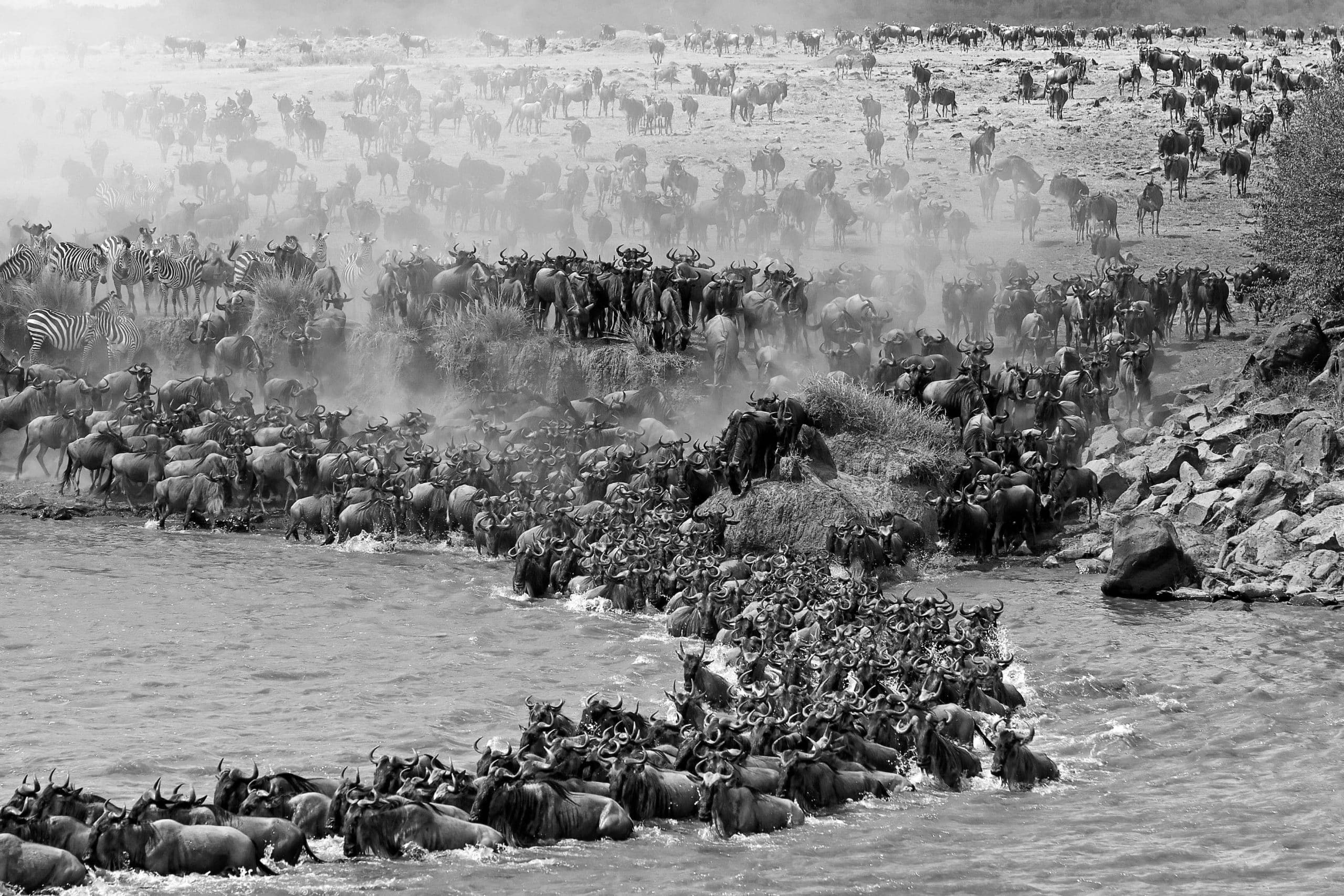 Serengeti Wildebeest Migration - Tanzania Safari