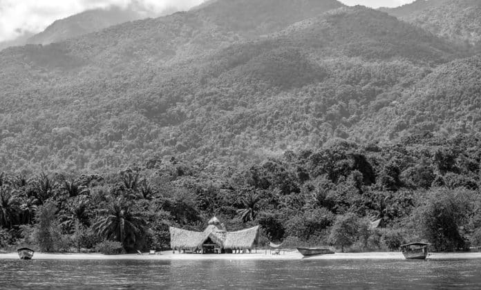 Snapshot - Mahale Mountains National Park - A Magical Experience with Chimpanzees!