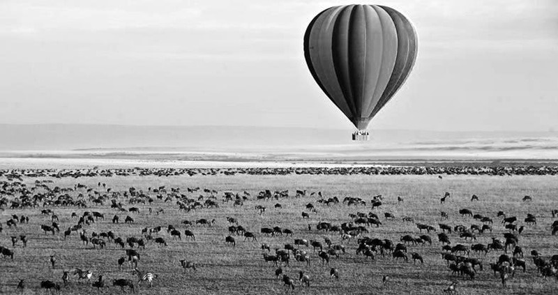 safari balloons serengeti