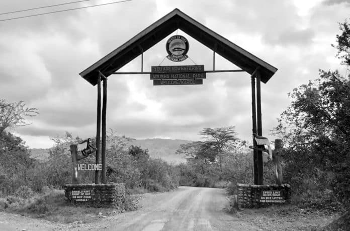 Arusha National Park - The Things You Need to Know