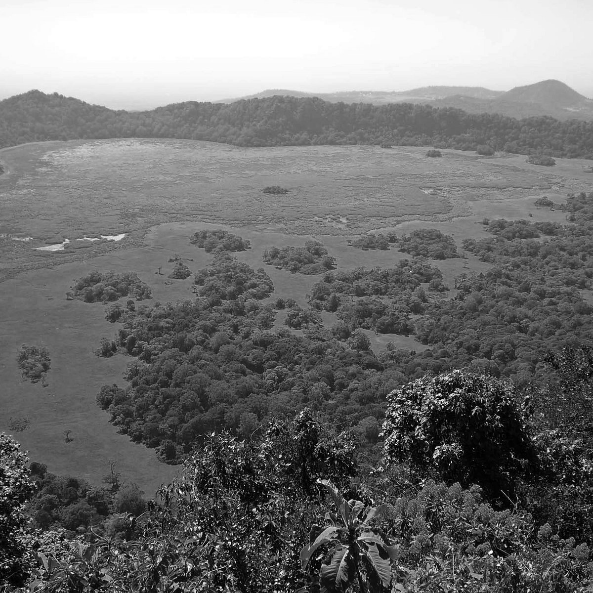 Ngurdoto Crater in Arusha