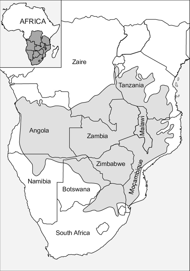 Africa Miombo woodlands map