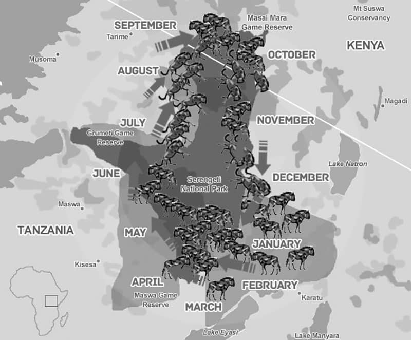 Great wildebeest migration map