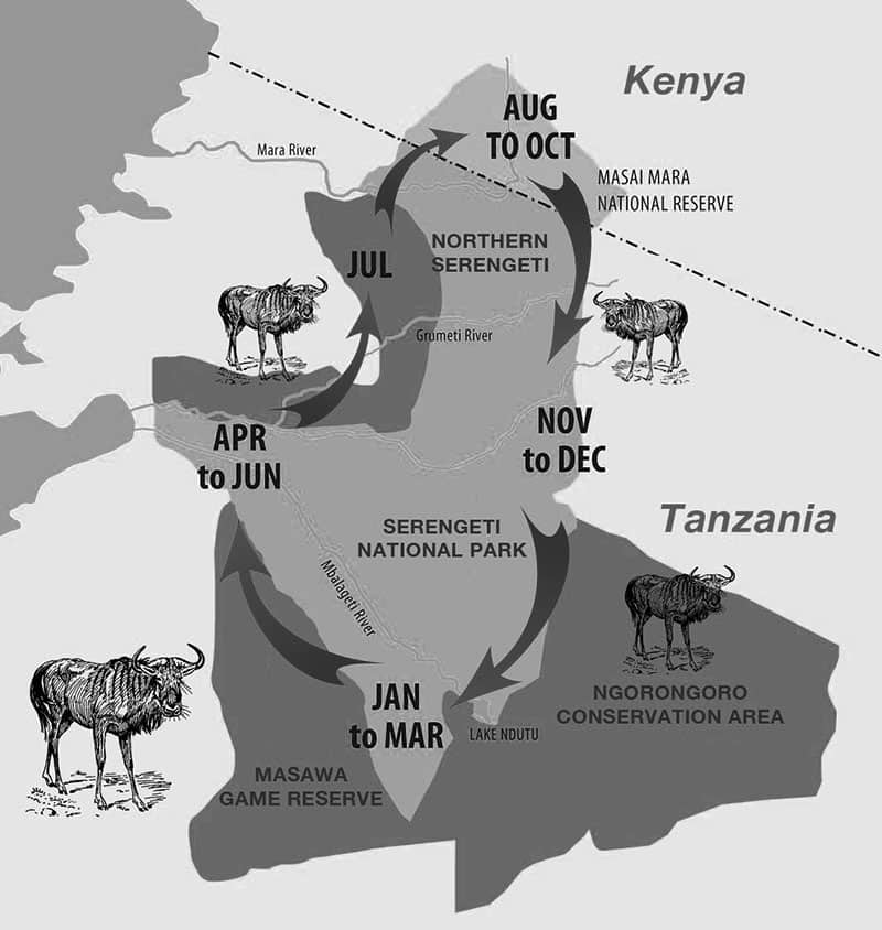 The great wildebeest migration map
