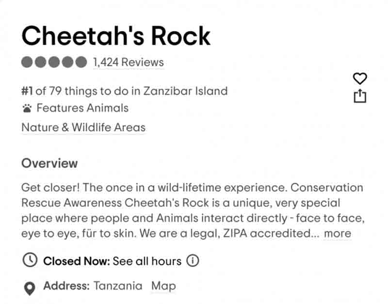 Cheetah's Rock Rating on Tripadvisor