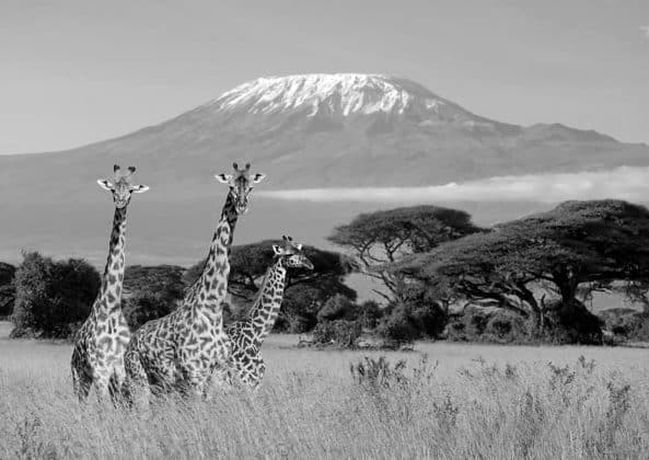 Must See and Visit Tanzania Attractions - UnitedRepublicofTanzania.com