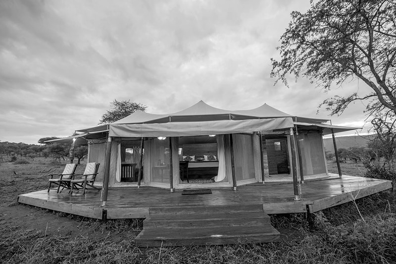 Serengeti Acacia Camps