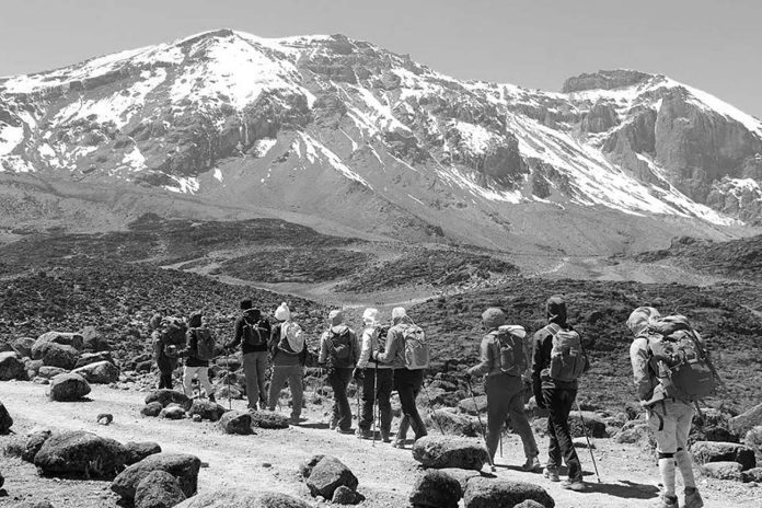 Shira Route Kilimanjaro Climb - The Complex Western Kilimanjaro Side Trail