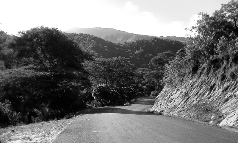Road heading towards Pare Mountains