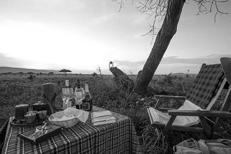 Sunset Picnic at the Acacia Camp