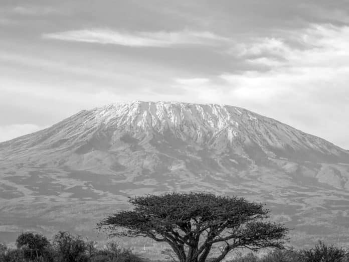 Ultimate Guide on the Best Time to Climb Kilimanjaro