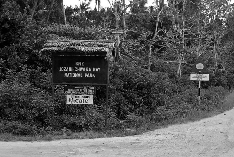 Entrance to Jozani Chwaka Bay – National Park