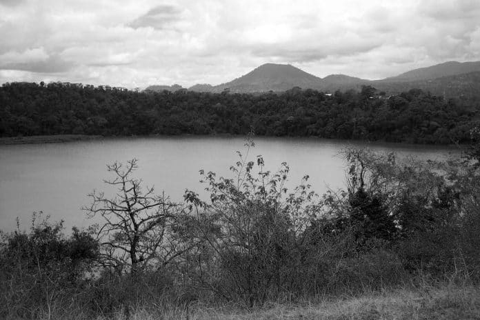 Lake Duluti - A Snapshot of the Reptiles and Birds Paradise