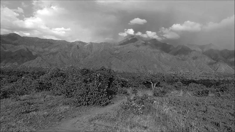 Livingstone Mountains