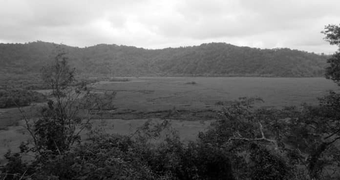 Ngurdoto Crater - A Thrilling Tourist Destination