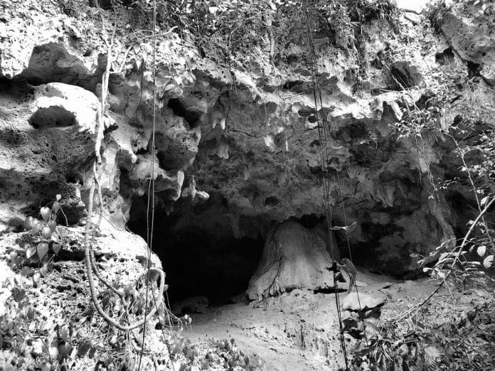 A Quick Snapshot of the Kiwengwa Caves