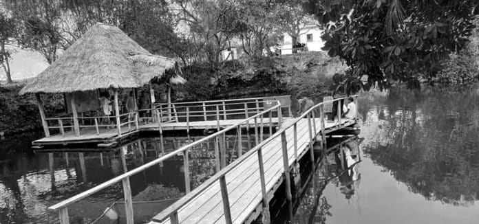 A Quick Snapshot of the Nungwi Natural Aquarium