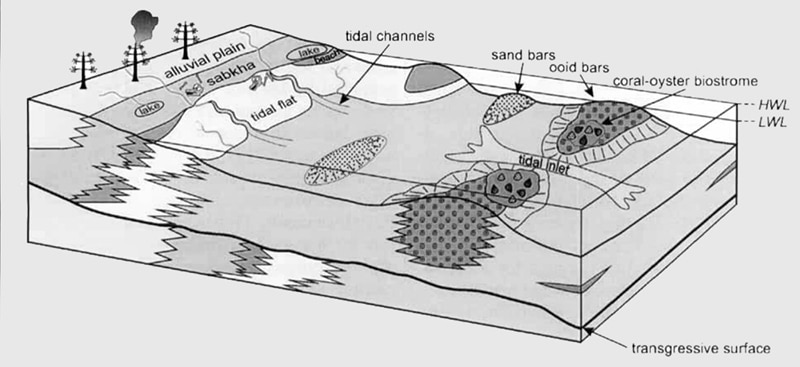 Generalized depositional environment of the Tendaguru Formation