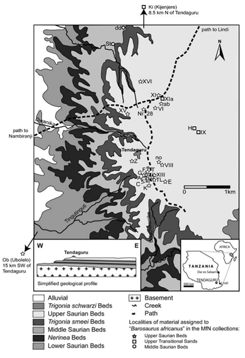 Geologic map of the Tendaguru Formation with sample locations