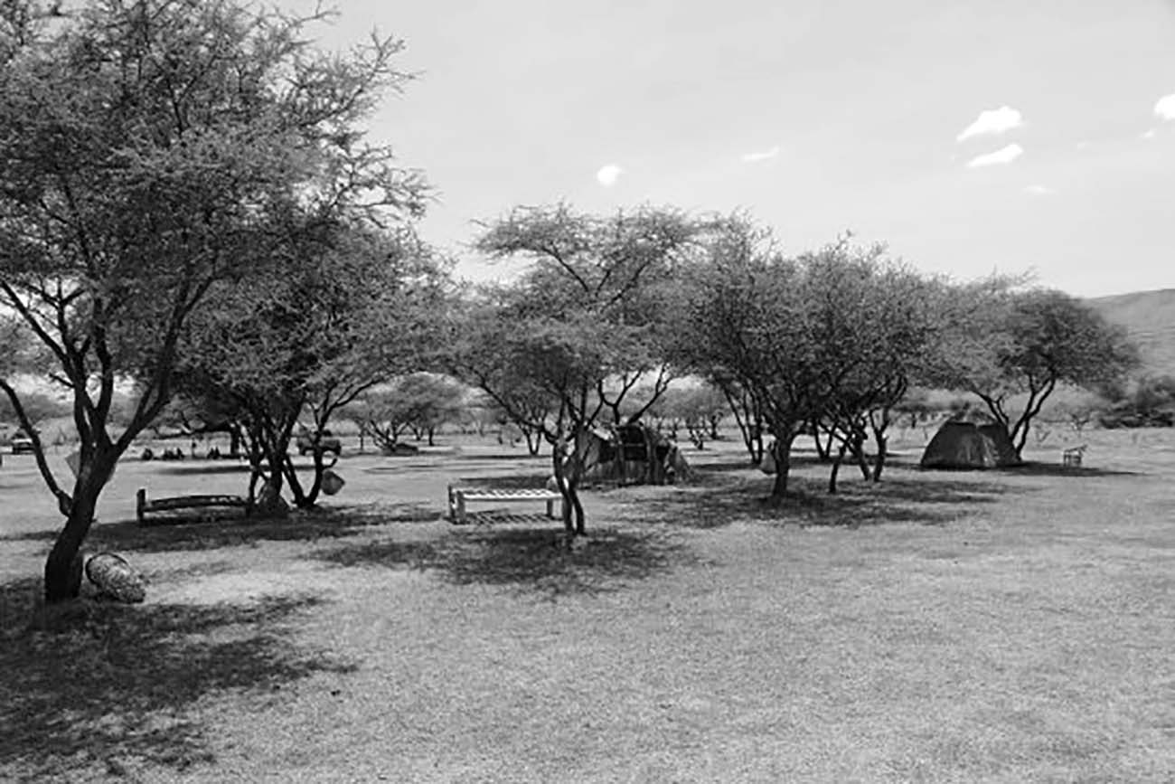 Masai Giraffe Eco Lodge