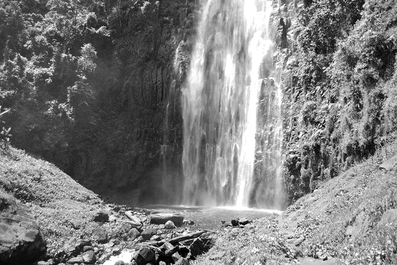 Materuni Coffee Estate and Waterfall