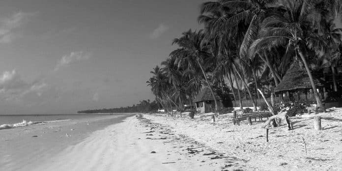 Michamvi Zanzibar - Paradise for Honeymoon and Resting