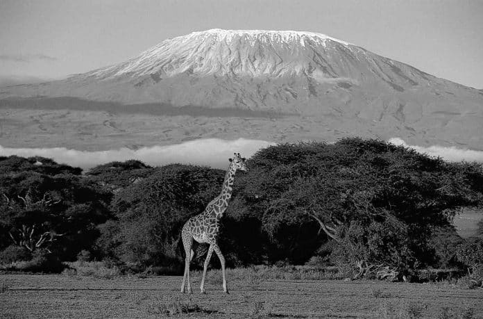 Tanzania Facts - Explore 50 Interesting Facts About Tanzania and the Different Aspects of This Great Country