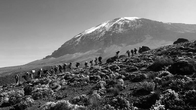 Group Kilimanjaro Tours