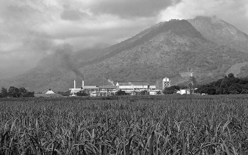 Kilombero sugar company in Tanzania