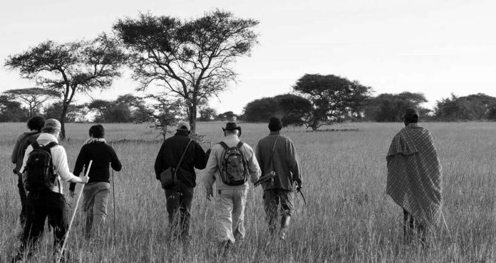 Tourist’s Essential Facts For a Tanzania Safari Guide