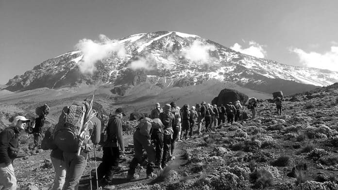 Kilimanjaro Expedition - Safety, Walking Speed, the Climb and More